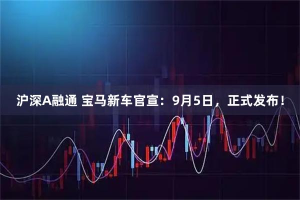 沪深A融通 宝马新车官宣：9月5日，正式发布！