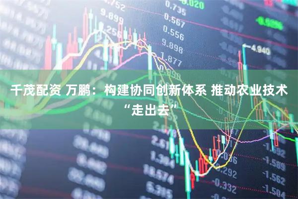 千茂配资 万鹏：构建协同创新体系 推动农业技术“走出去”