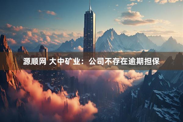 源顺网 大中矿业:公司不存在逾期担保